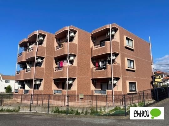 �u�̏�̃}���V����