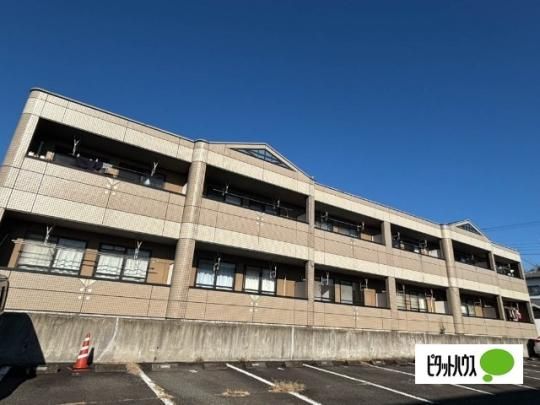 �_���T�v�����[��