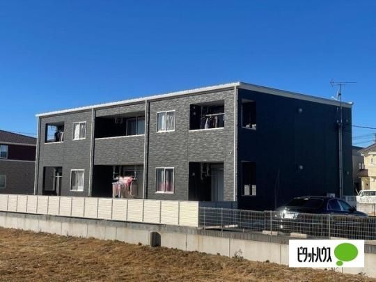 �k���r�������E�q�������i���V�[�h�E���[���j