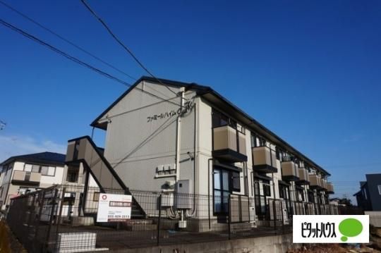 �t�@�~�[���n�C���b