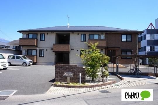 �J�[�T�E�X�e��