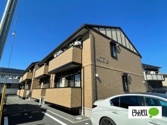 �A���\���C�G