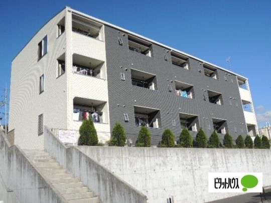 �N�C�[���E�q���Y